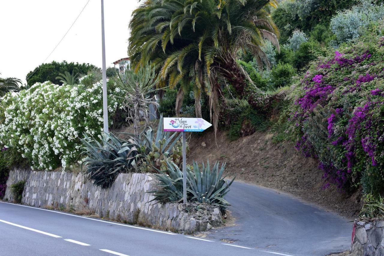 Agriturismo Un Mare Di Fiori فنتيميليا المظهر الخارجي الصورة